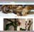 Gudrun Graf Atelier fr Photografie und Malerei